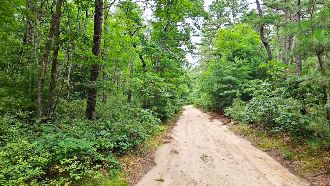 Austin Woods
