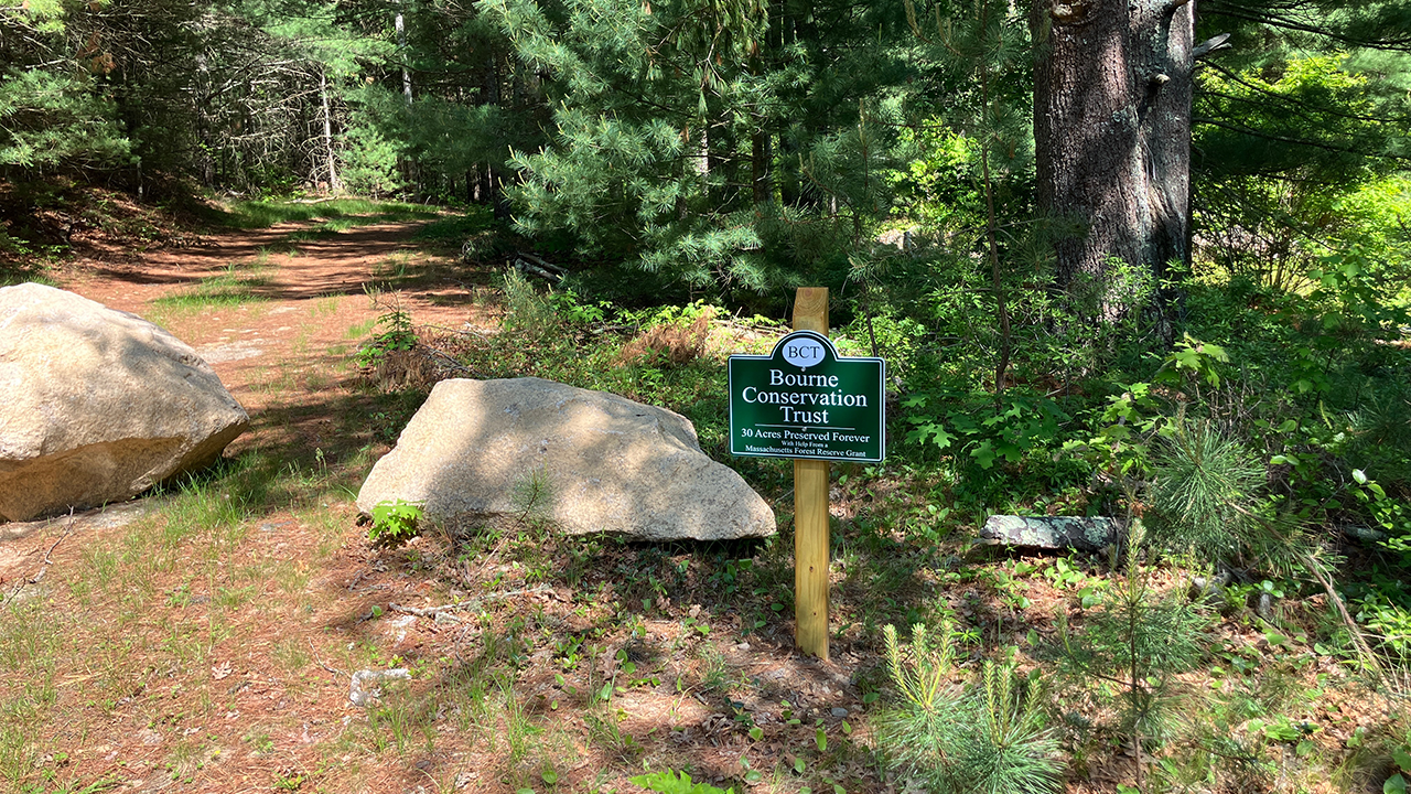 Austin Woods
