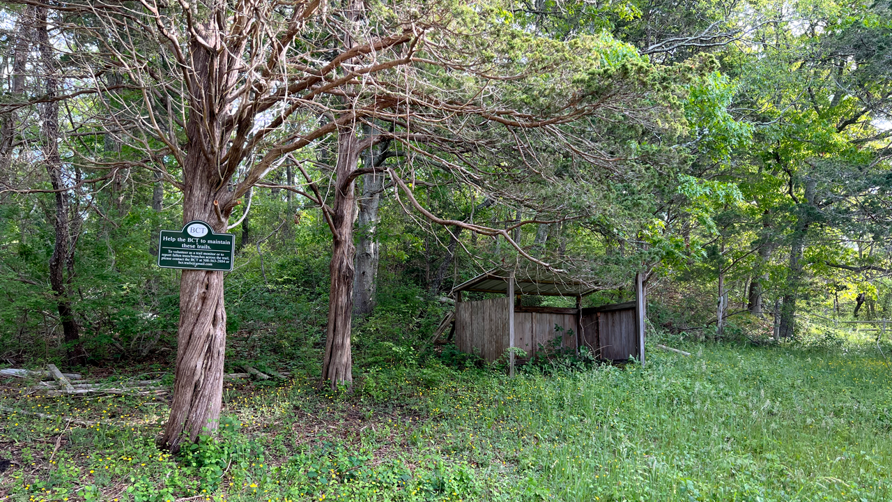 Baxendale Woods