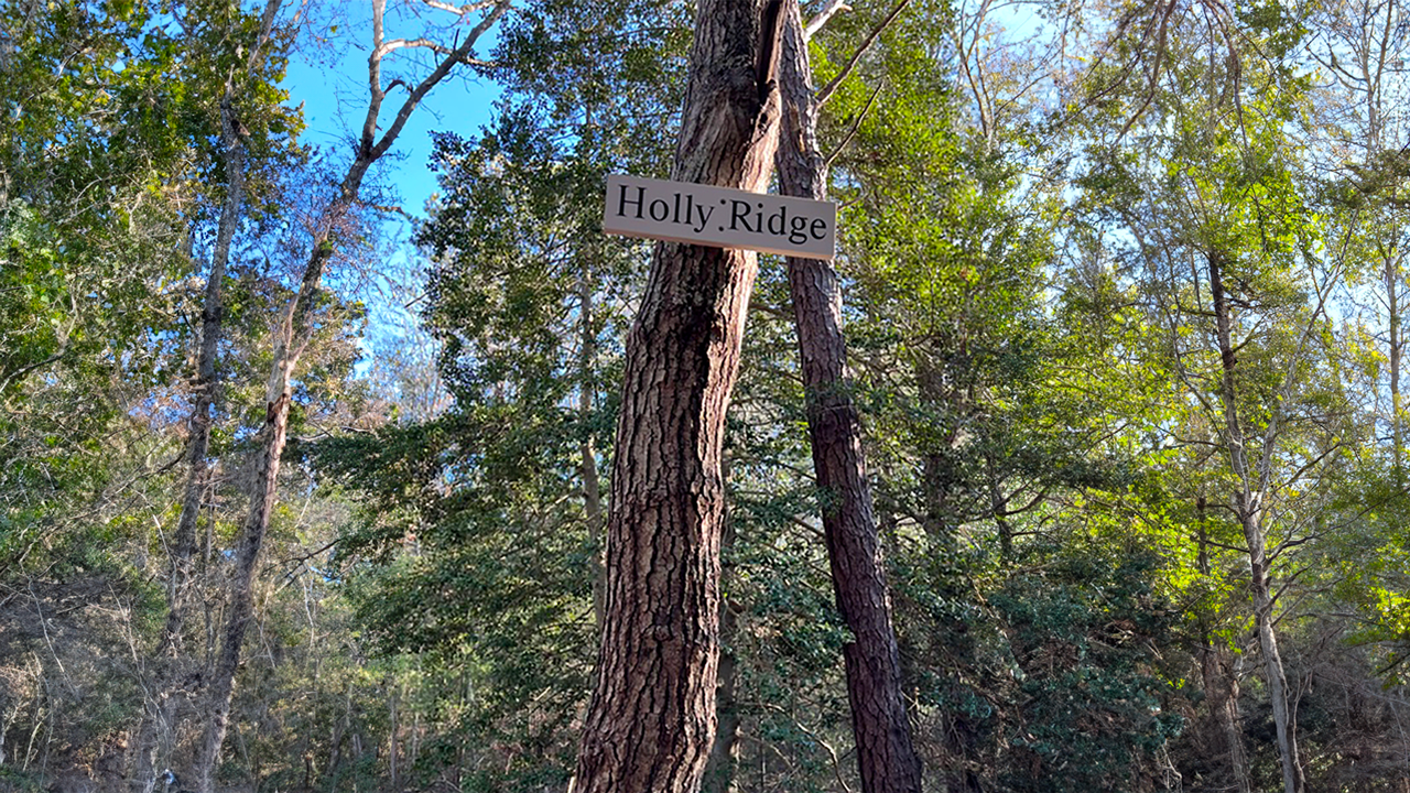 Bourne Sisters Woodland