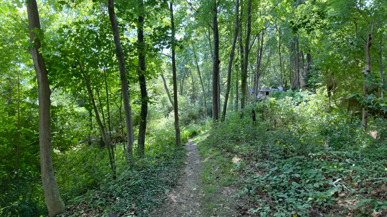 Bourne Sisters Woodland