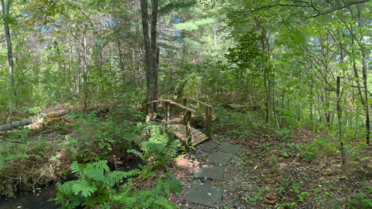 Bourne Sisters Woodland