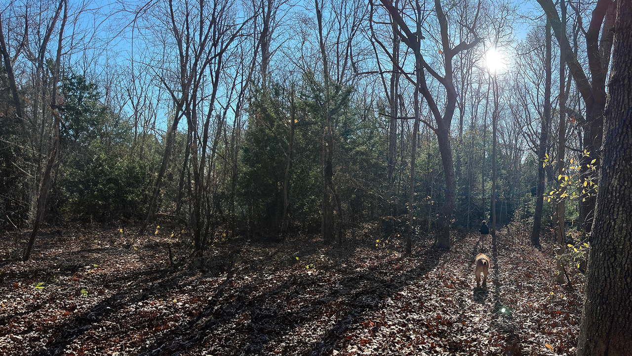 Cataumet Greenway