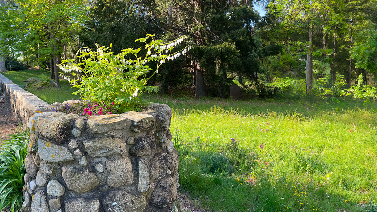 Cataumet Greenway