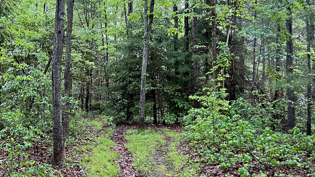 Cataumet Greenway