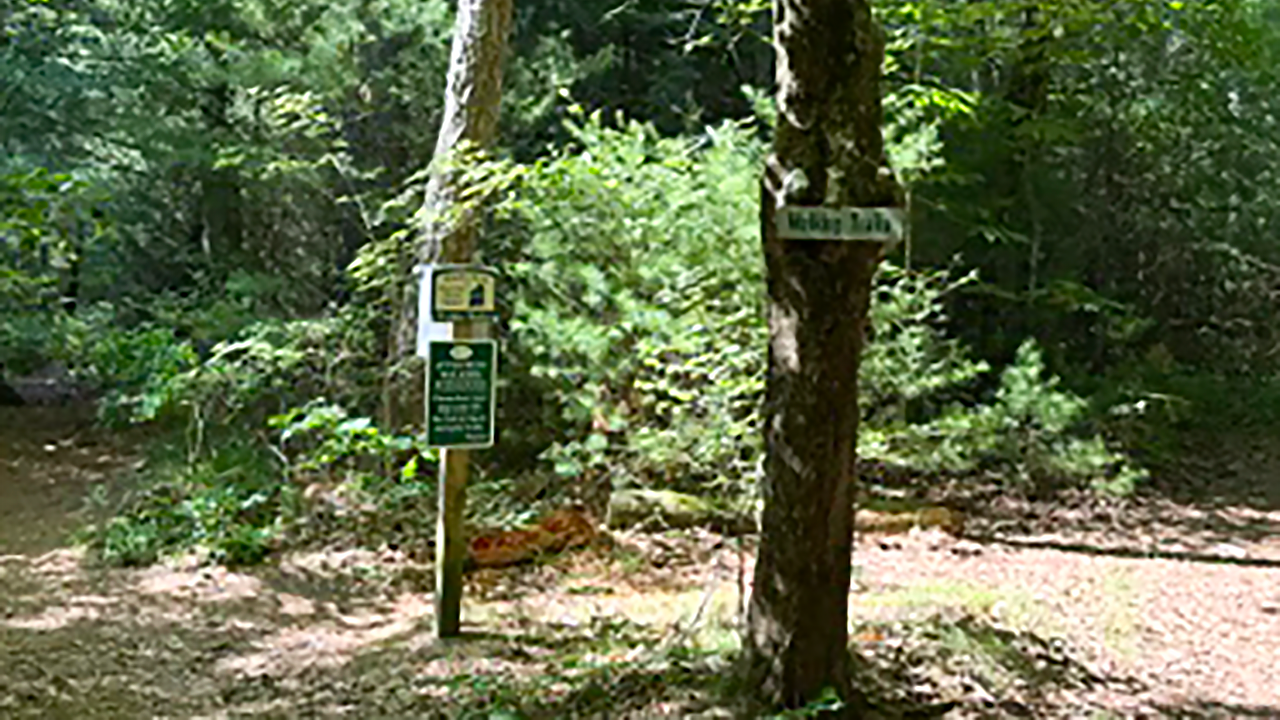 Little Bay