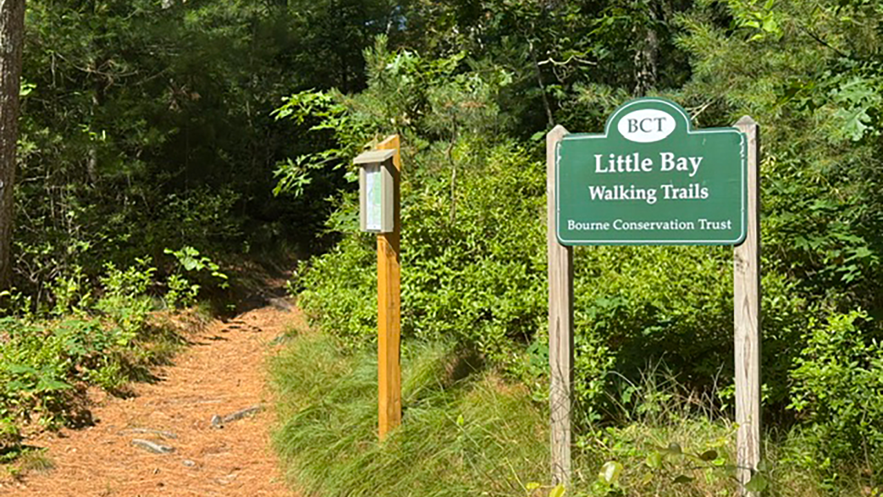 Little Bay