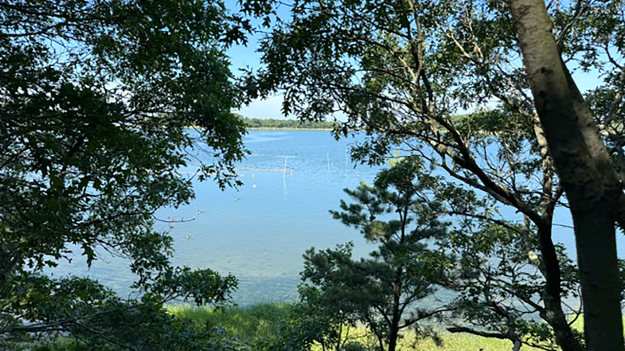 Little Bay