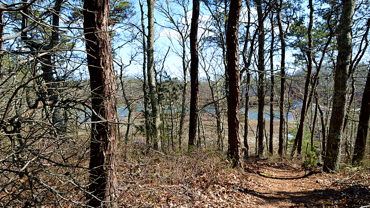 Little Bay and Monk's Park