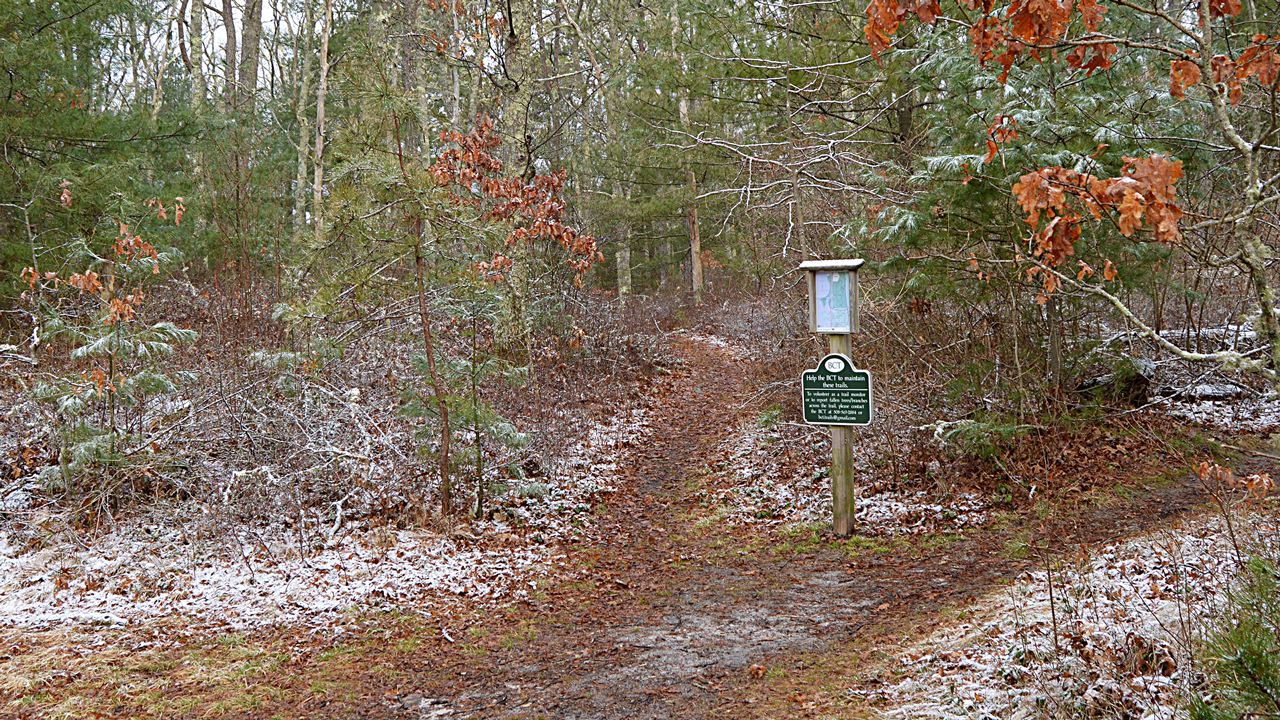 Little Bay and Monk's Park