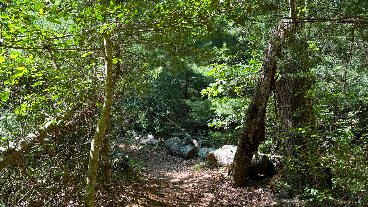 Nickerson Conservation