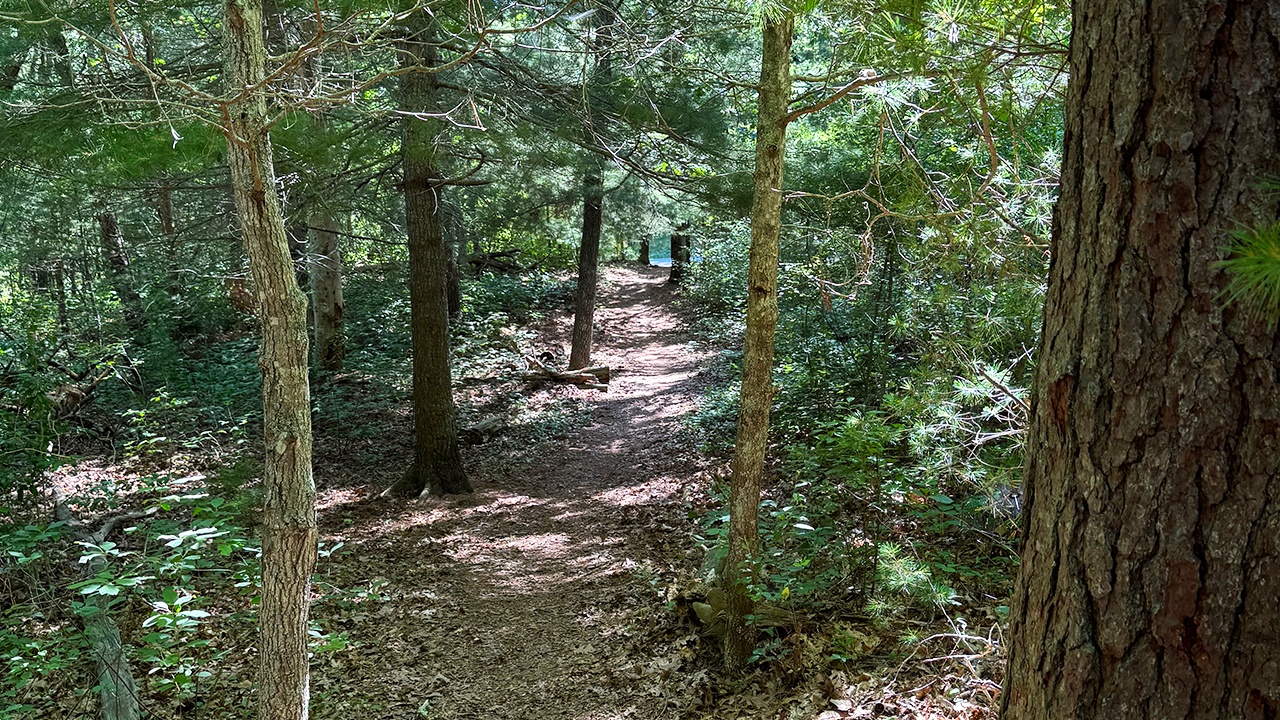 Nickerson Conservation