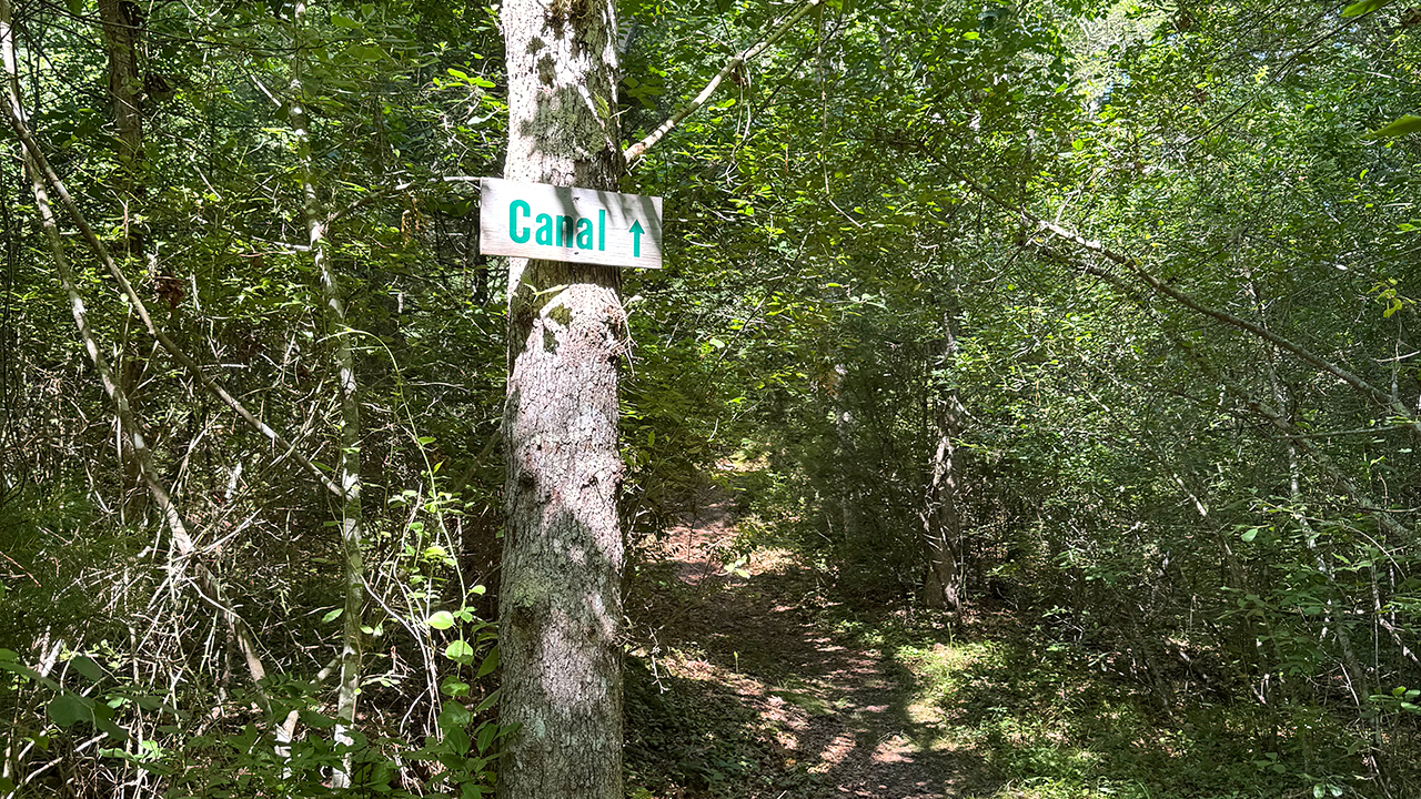 Nickerson Conservation