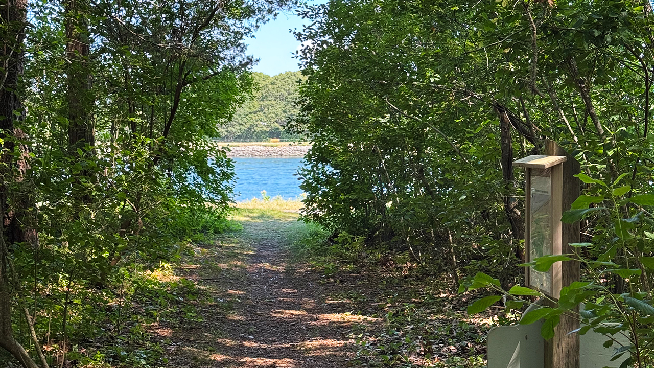 Nickerson Conservation