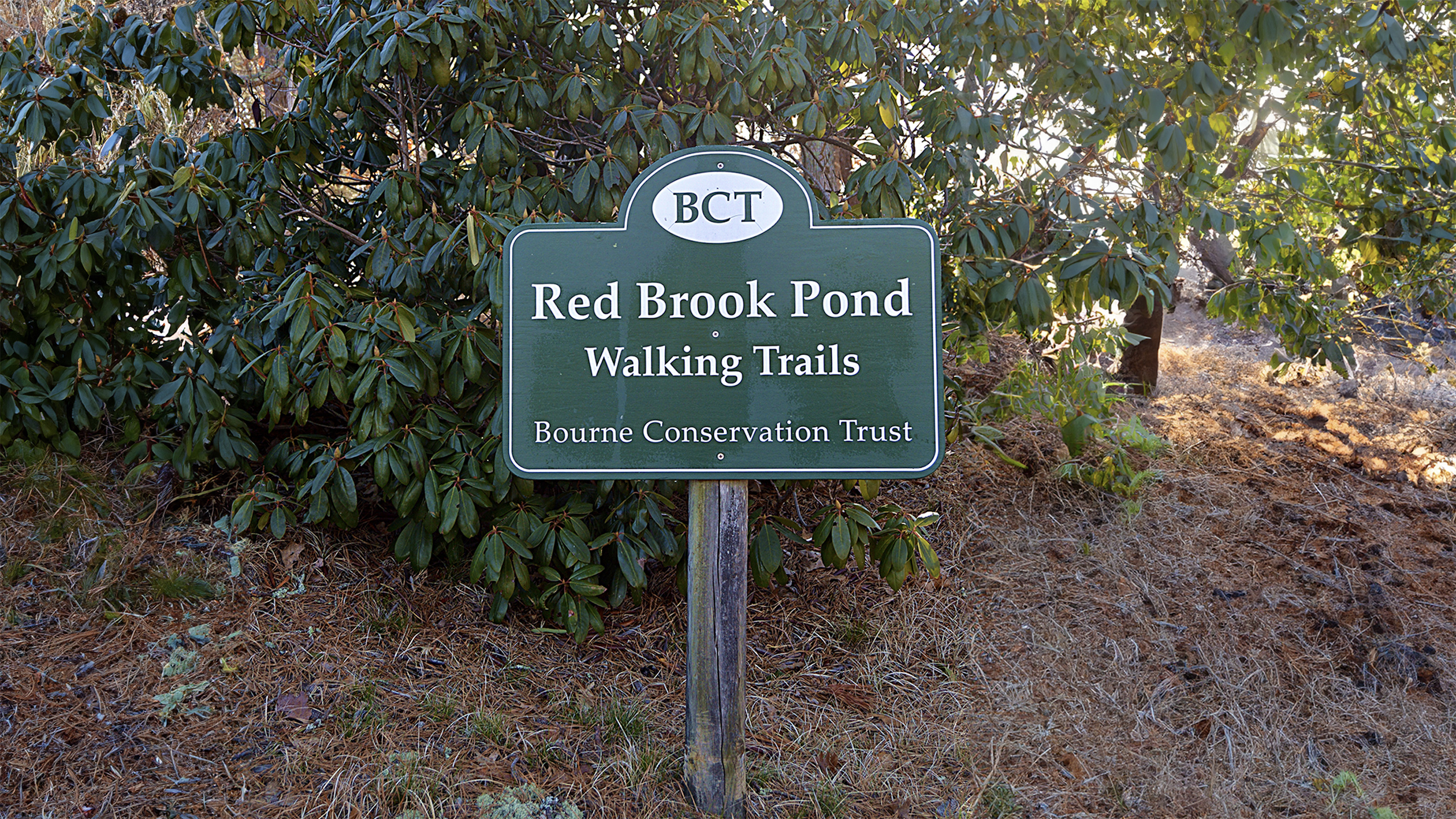 Red Brook Pond